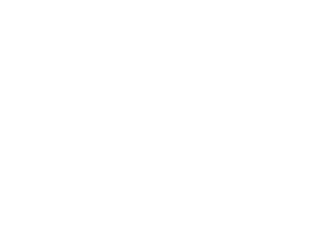 RT1