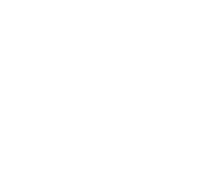 TT1